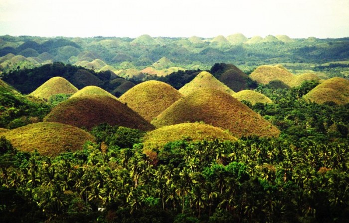 Chocolate Hills Bohol