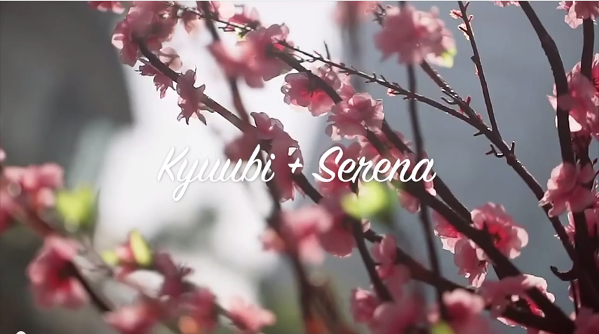 No Puppy Love! Two Adorable Dogs Show Love like Humans in a Prenuptial Video 1 kyuubi