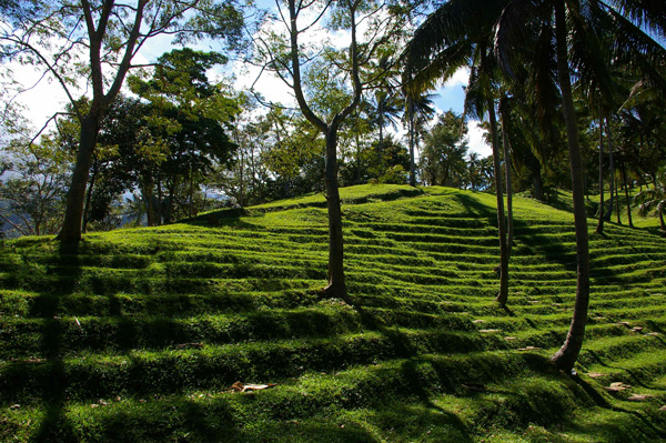 Malasimbo terraces