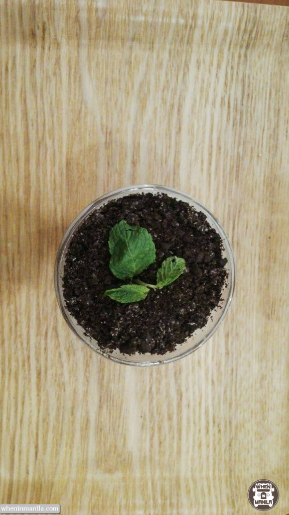 Local Edition: The Pinoy Coffee Perfection 10 Pinoy-Coffee-Perfection-Local-Edition-017-Potted-Plant-Oolong-Tea