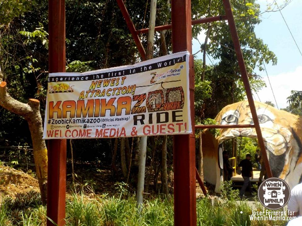 Zoobic safari introduces kamikazoo, a zipline ride with tigers