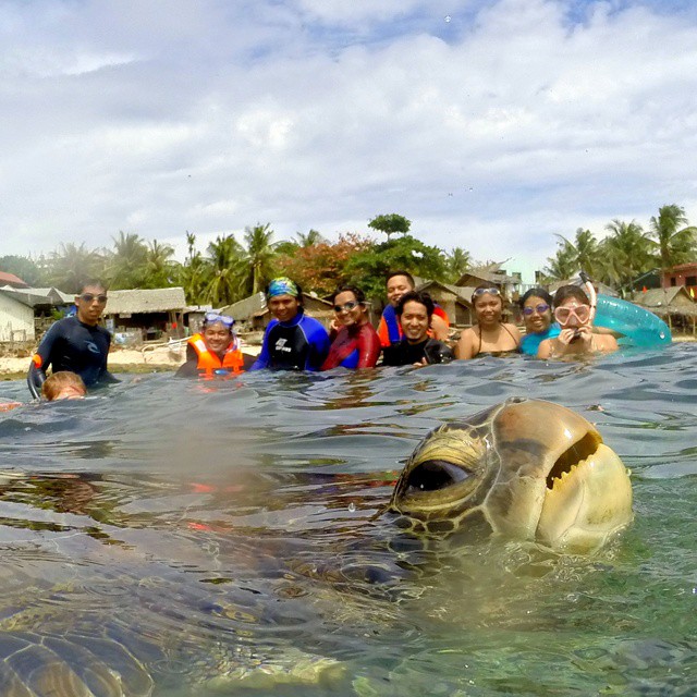 Turtle Photobombs Adventurers in Apo Island