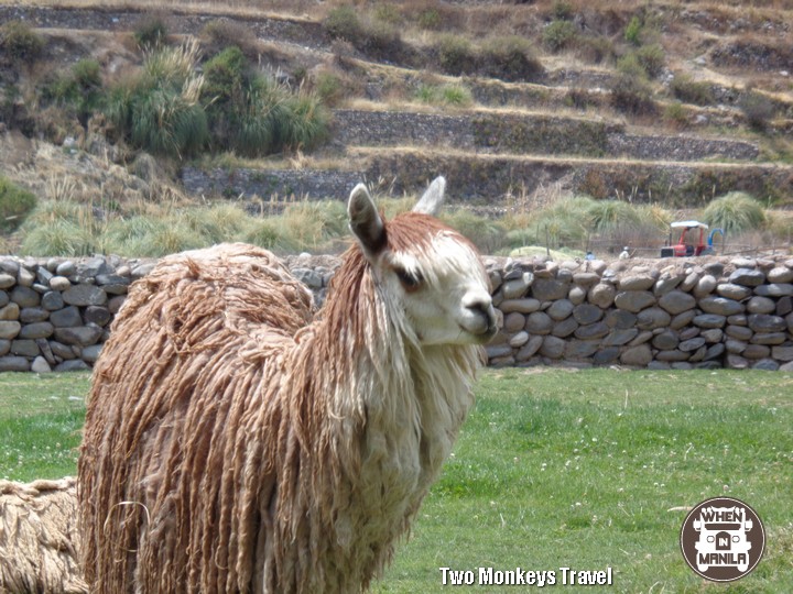 13 Things must do when visit Peru