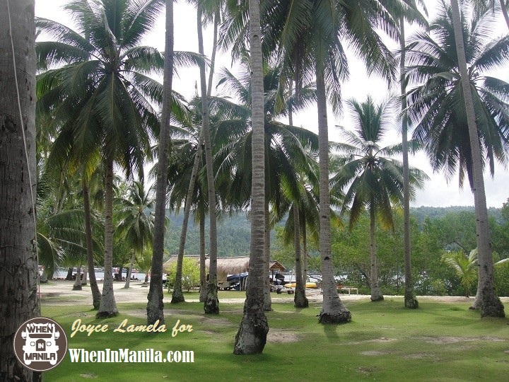 Malipano Island Davao Malipano Island Davao