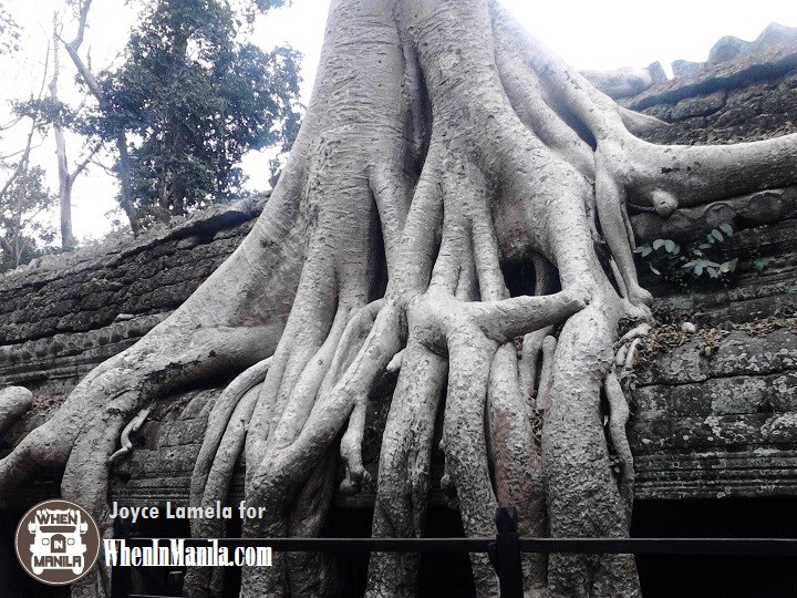 Angkor at Sunrise: morning adventure to cambodia's historic landmark