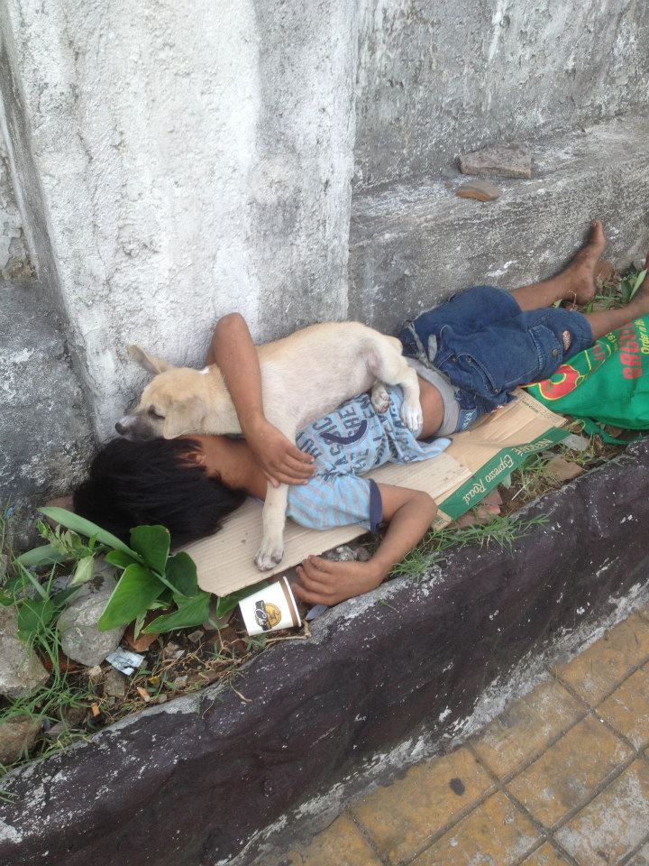 Child and Dog True Love 2