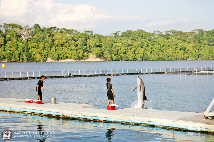 NLEX Lakbay Norte 2015 Subic Ocean Adventure Wildlife In Need Foundation
