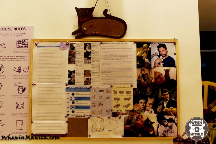 Cat Cafe Manila: The House for All Things Kitty and Furry 1 IMG_1354