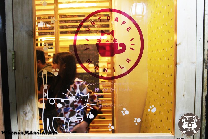  Cat  Cafe  Manila The House for All Things Kitty and Furry  