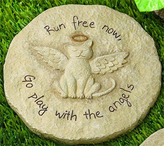 Phoenix, The Cat Burned Alive, Passes Away 1 Run Free Phoenix