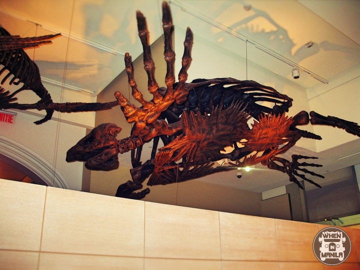 5 Must-See Attractions in Ottawa, Canada! 2 5 Must-See Attractions in Ottawa, Canada!-11