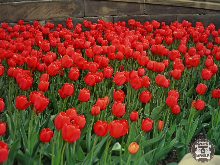 5 Must-See Attractions in Ottawa, Canada! 7 5 Must-See Attractions in Ottawa, Canada!-16