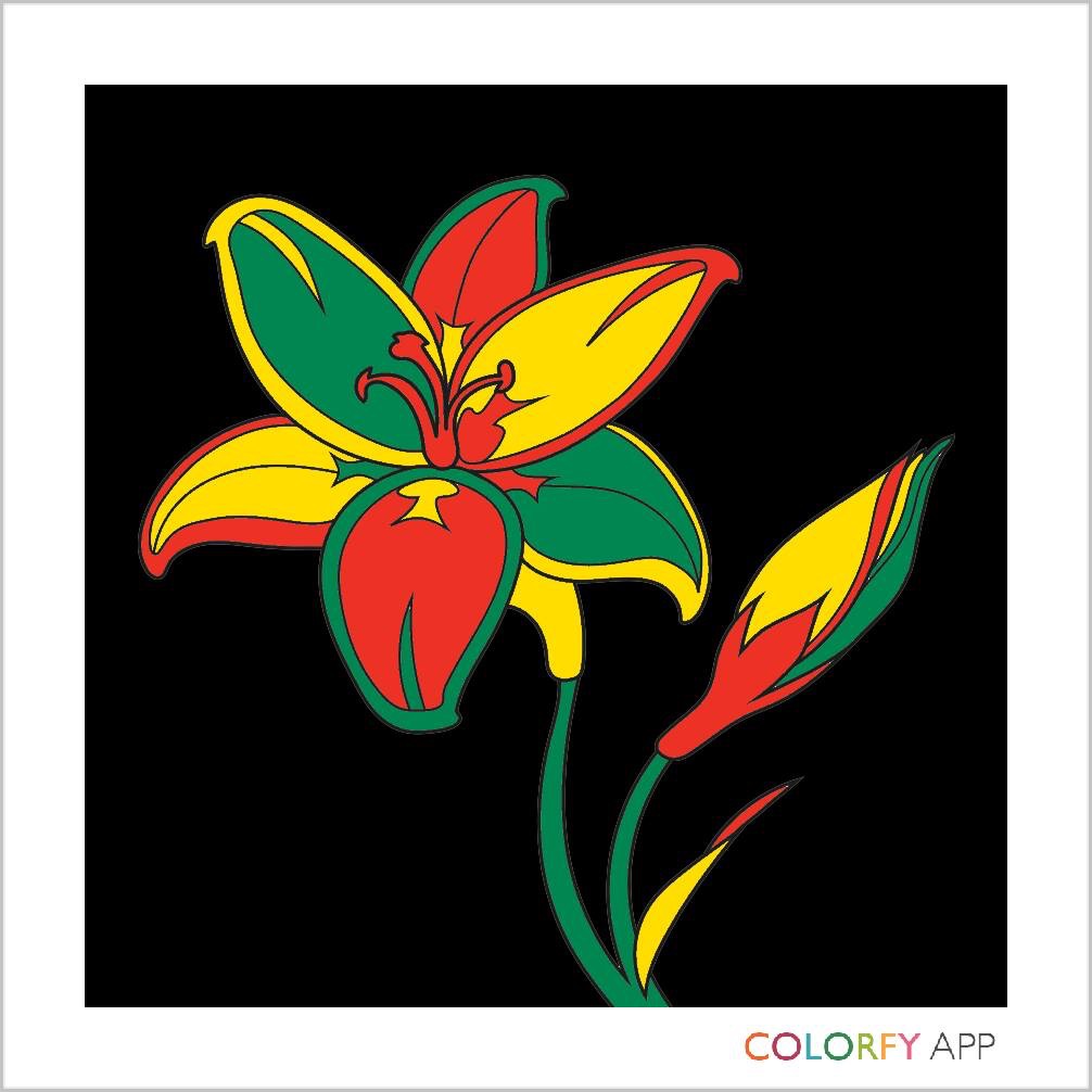 Trending App Now: Colorfy Adult Coloring Book App 6 Color your life with Colorfy!15