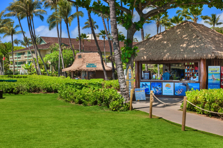Hawaiian Holiday Resort