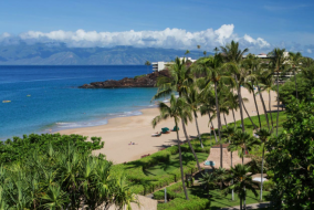 Hawaiian Beach Resort Holiday