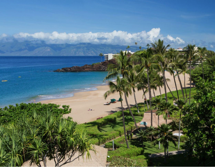Hawaiian Beach Resort Holiday