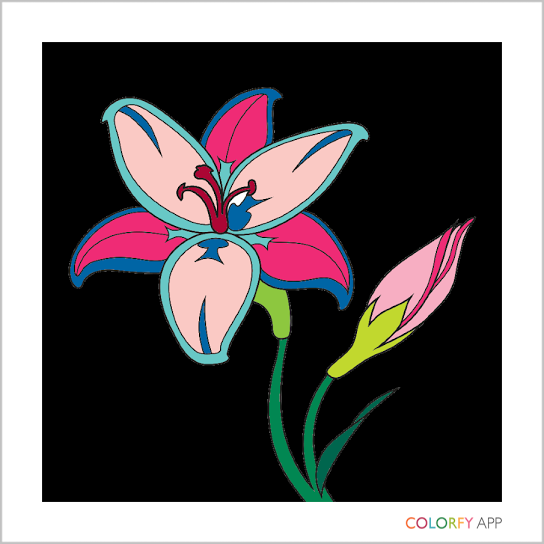 colorfy-iOs-app-floral-sample