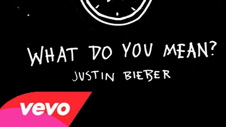 Justin Bieber What Do You Mean Video
