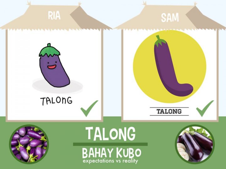 Bahay Kubo vegetables