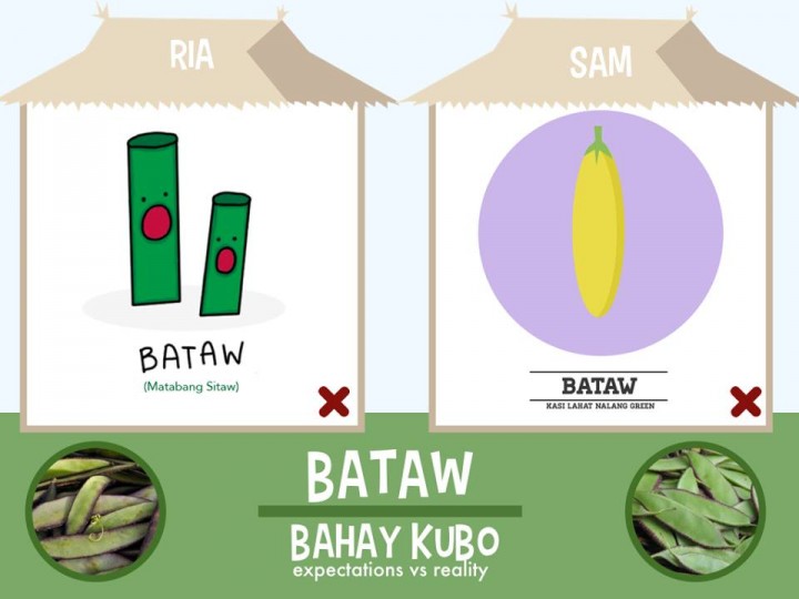 Bahay Kubo vegetables
