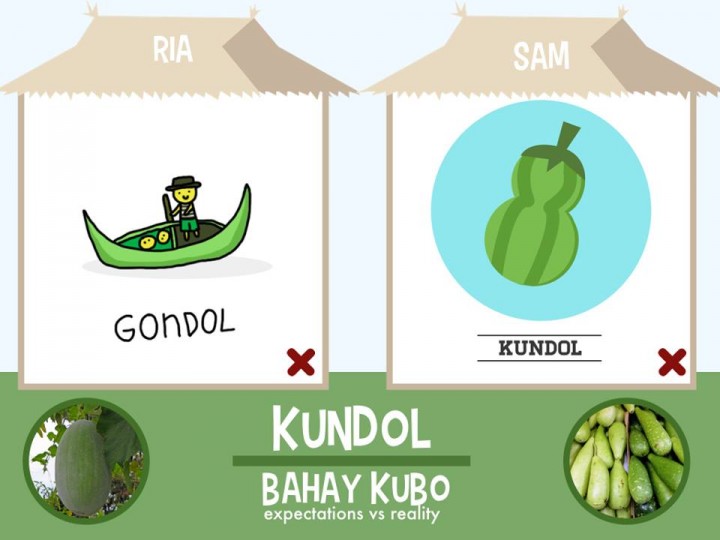 Bahay Kubo vegetables