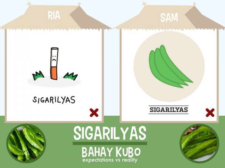 Bahay Kubo vegetables