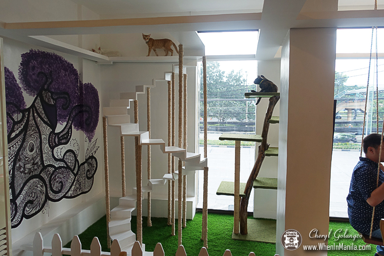 Uchi No Neko: The Cat House Cafe (and Hotel) Now Open in Katipunan 13 The-Cat-House-Cafe-07