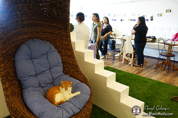 Uchi No Neko: The Cat House Cafe (and Hotel) Now Open in Katipunan 2 The-Cat-House-Cafe-21