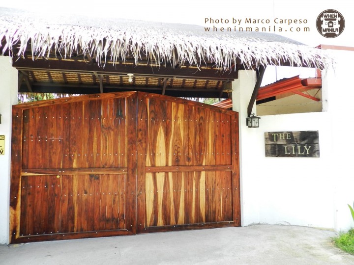 The Lily: Your Home Away From Home 14 The Lily: your home away from home