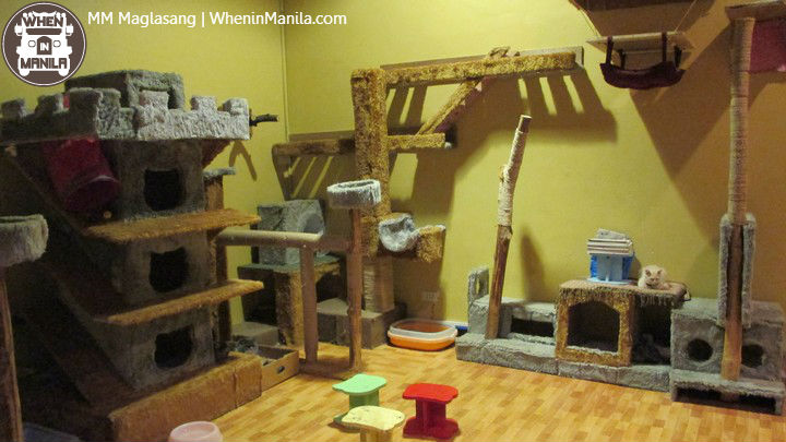 Gilmore Cat Cafe: All Paws and More Play for Cat Lovers 1 Gilmore_Cat_Cafe_5