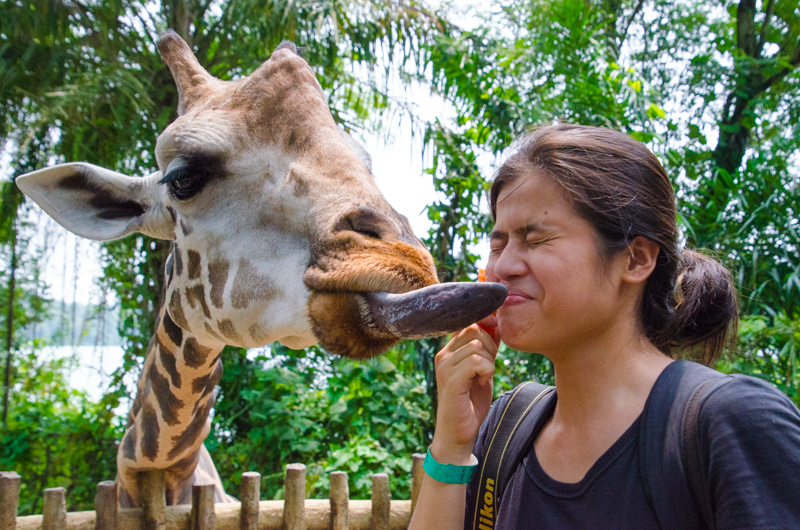 Singapore Zoo Mae Ilagan (25 of 29)