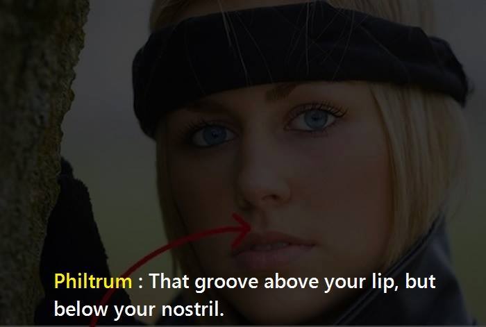 11220834_1043676322329481_9077903253873386242_n