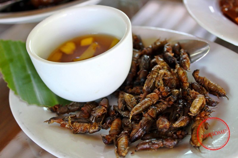 Fried-Camaru-Mole-Crickets