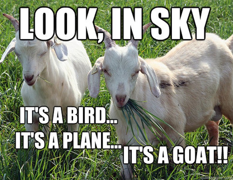 Goat Fart Airplane