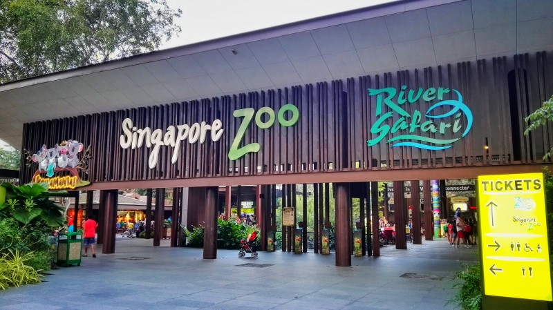 Singapore Zoo 101: Your Guide to the World’s Best Rainforest Zoo 1 IMG_20151019_182918-01