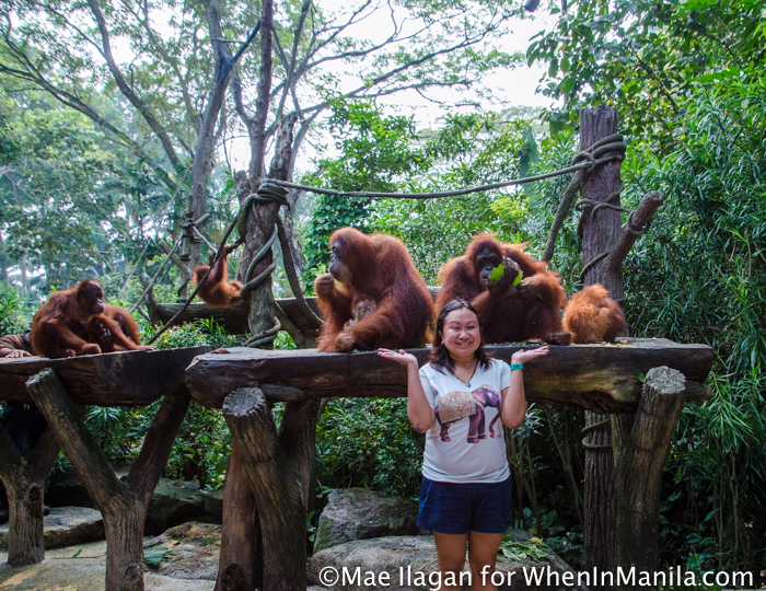 Singapore Zoo 101: Your Guide to the World’s Best Rainforest Zoo 8 Singapore Zoo River Safari When in Manila Mae Ilagan (22 of 177)