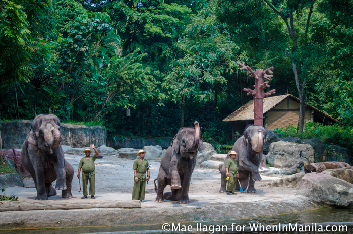 Singapore Zoo River Safari When in Manila Mae Ilagan (76 of 177)
