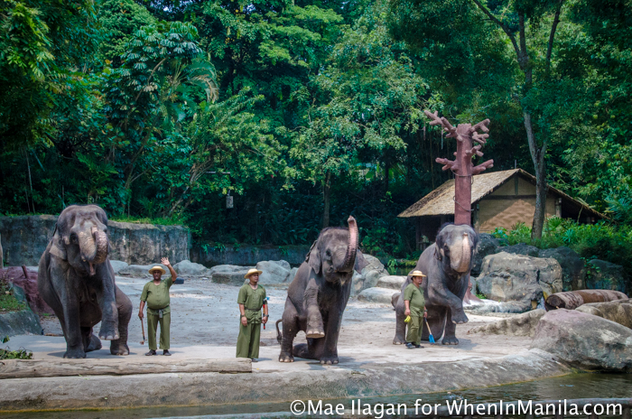 Singapore Zoo 101: Your Guide to the World’s Best Rainforest Zoo 12 Singapore Zoo River Safari When in Manila Mae Ilagan (76 of 177)
