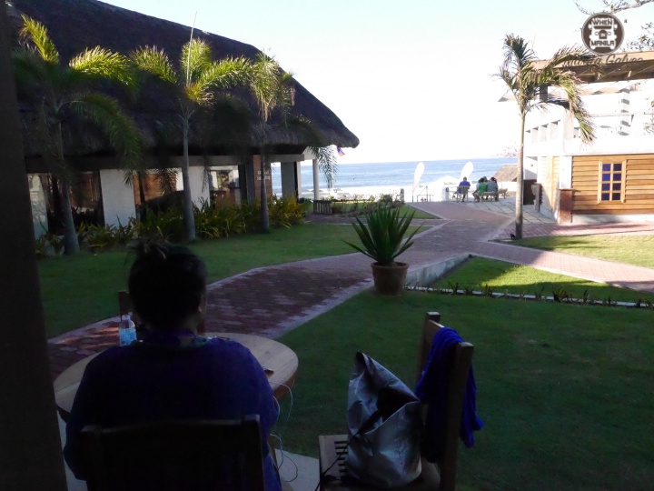 surfvivorlaunionP1680254_batch