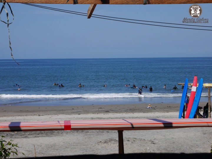 surfvivorlaunionP1680299_batch