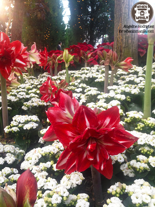 5 Things I Love About Christmas Wonderland at Gardens by the Bay 3 Christmas Wonderland Gardens by the Bay Singapore
