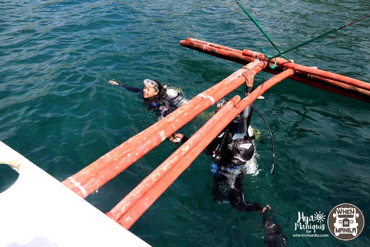 Simple Island Life and Marine Diversity in Tablas Island, Romblon 12 HyaByTheSeaTablas12