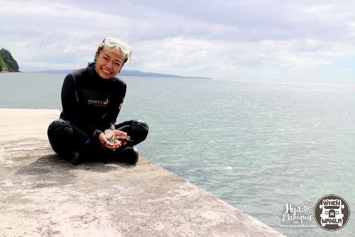 Simple Island Life and Marine Diversity in Tablas Island, Romblon 13 HyaByTheSeaTablas13