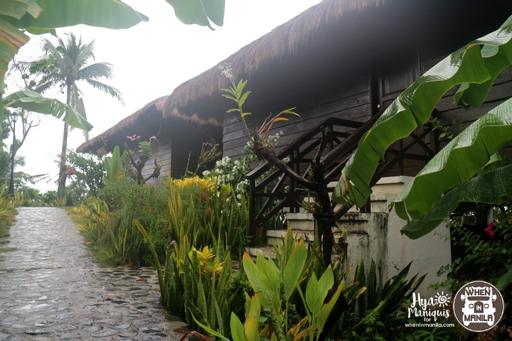 Simple Island Life and Marine Diversity in Tablas Island, Romblon 7 HyaByTheSeaTablas22