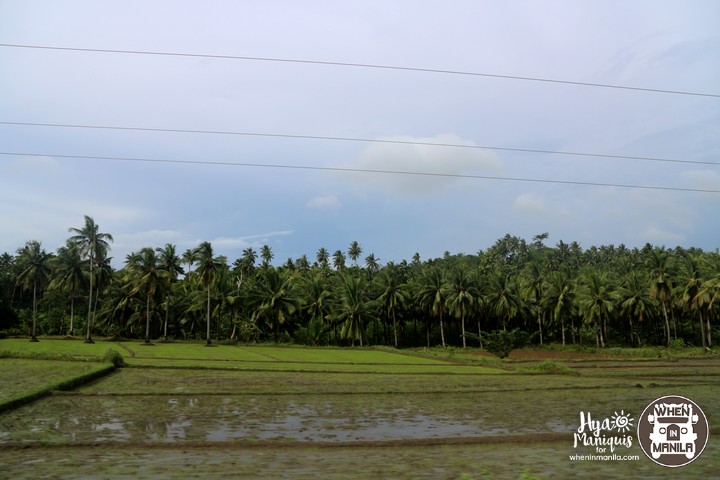 Simple Island Life and Marine Diversity in Tablas Island, Romblon 9 HyaByTheSeaTablas25