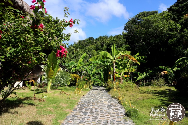 Simple Island Life and Marine Diversity in Tablas Island, Romblon 6 HyaByTheSeaTablas3