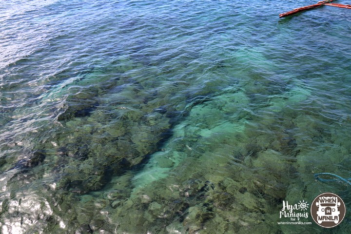 Simple Island Life and Marine Diversity in Tablas Island, Romblon 11 HyaByTheSeaTablas9