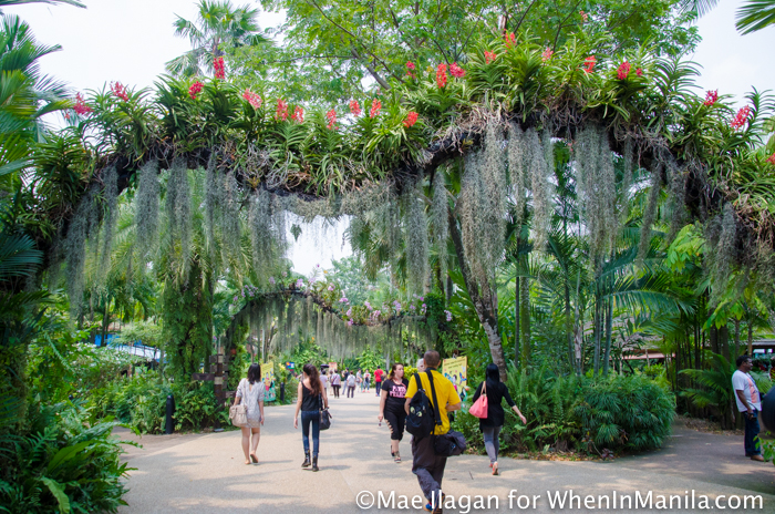When in Singapore, Visit Jurong Bird Park: Asia’s Largest Bird Paradise 2 Jurong Bird Park Night Safari Singapore When in Manila Mae Ilagan (1 of 107)
