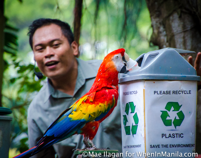 When in Singapore, Visit Jurong Bird Park: Asia’s Largest Bird Paradise 5 Jurong Bird Park Night Safari Singapore When in Manila Mae Ilagan (23 of 107)