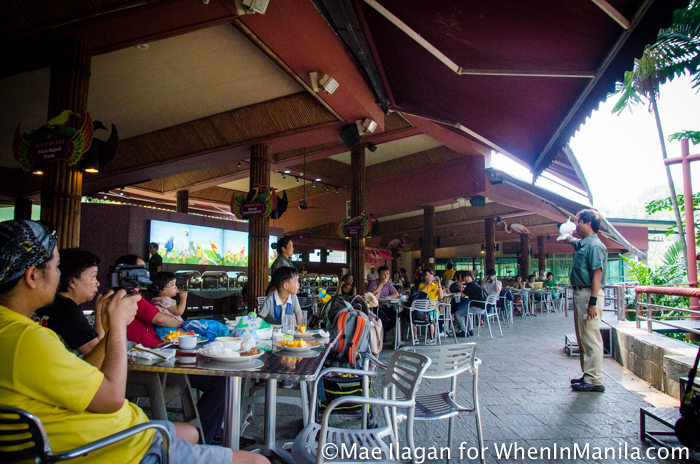 When in Singapore, Visit Jurong Bird Park: Asia’s Largest Bird Paradise 6 Jurong Bird Park Night Safari Singapore When in Manila Mae Ilagan (24 of 107)